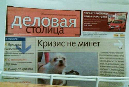 back to blog ili veselye kartinki 2