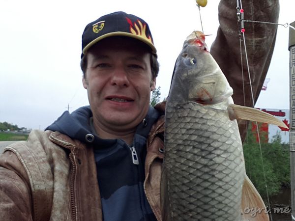carp.jpg