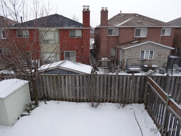 february-46-canada.jpg
