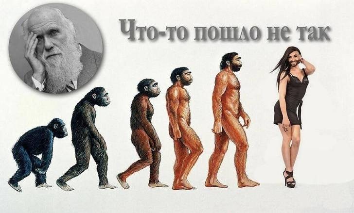strange-evolution.jpg